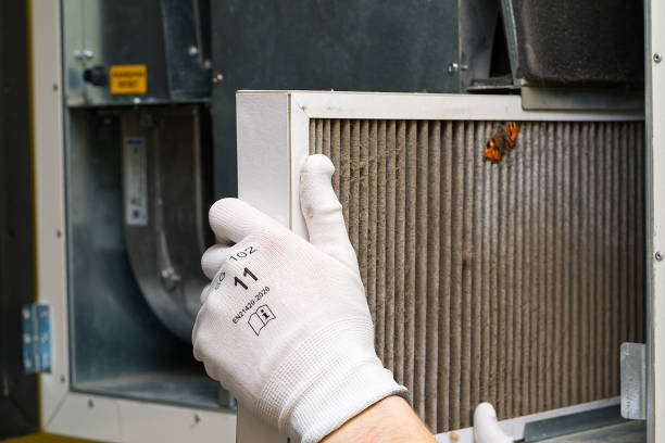 Best Affordable Duct Cleaning Services  in Terryville, CT